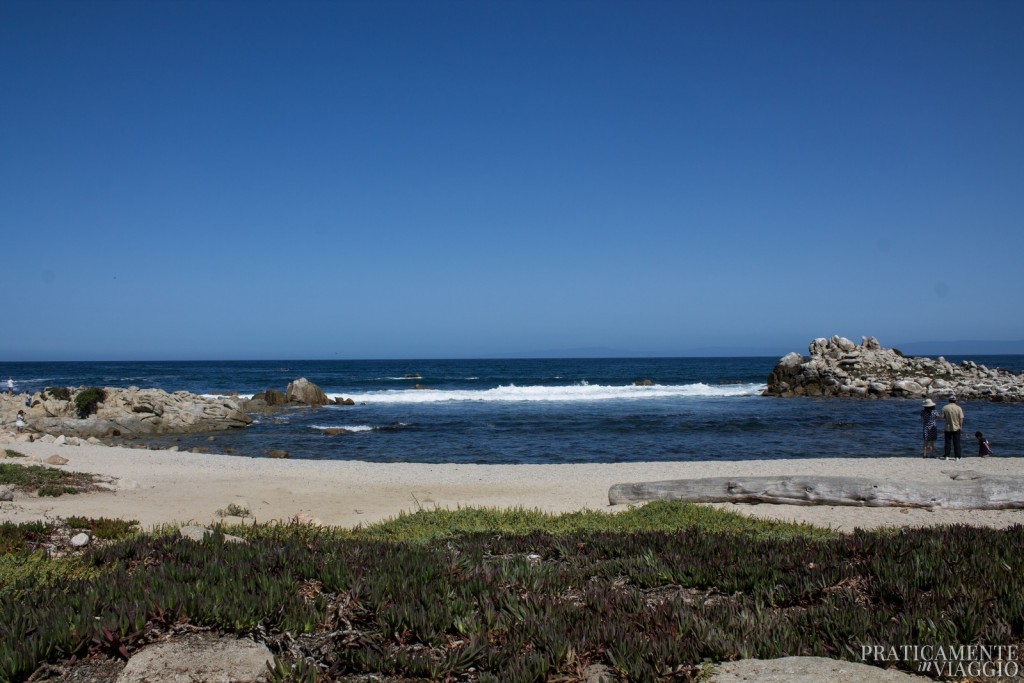 Pacific Grove