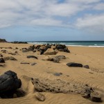 fuerteventura spiagge